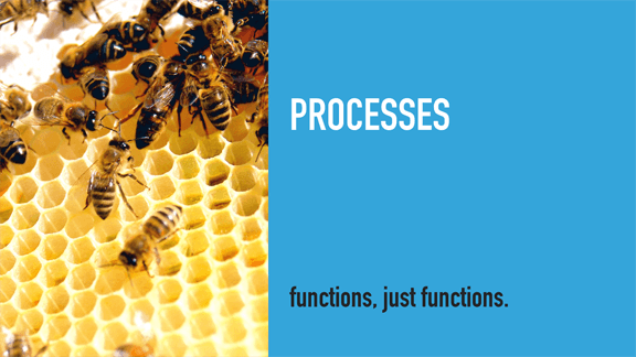 Processes / Bees